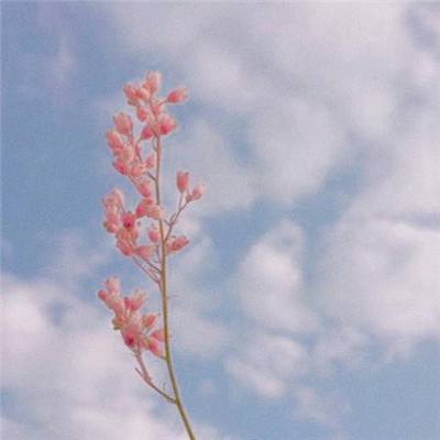 草鞋版一拳定江山手游(暂未上线)v1.0.251 安卓版